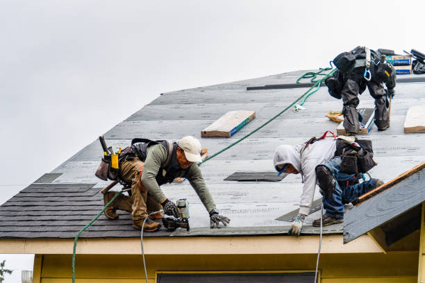 Professional Emergency Roof Repair technician working in Sun River, MT